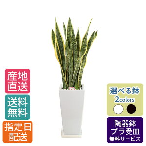 ϗtA TXxA 7 p / A  ^ 傫 CeA A  j j JƏj I[v Vz z  V v[g Mtg