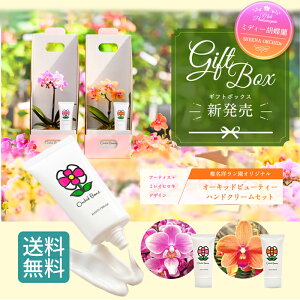 }CNӒƃr[eB[nhN[ ( Orchid Beauty ) ̃Zbg / Ӓ nhN[  ̓ A v[g Mtg ~jӒ ~fBӒ ~j  j Ԃ  
