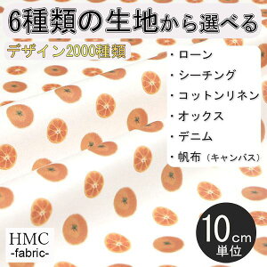 y10cmP:z n z I[_[vgz ( V[`O or IbNX ) / fab-cm00120