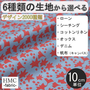 y10cmP:z n z I[_[vgz ( V[`O or IbNX ) / fab-cm00170