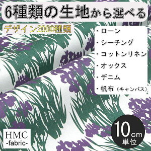 y10cmP:z n z I[_[vgz ( V[`O or IbNX ) / fab-cm00171