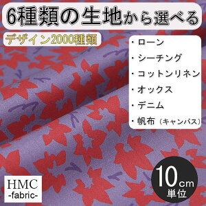 y10cmP:z n z I[_[vgz ( V[`O or IbNX ) / fab-cm00179