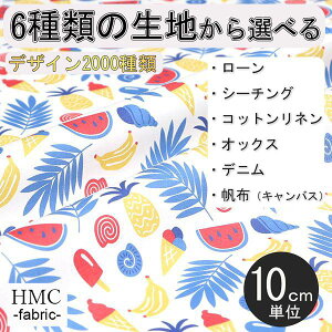 y10cmP:z n z I[_[vgz ( V[`O or IbNX ) / fab-cm00098