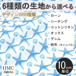 y10cmP:z n z I[_[vgz ( V[`O or IbNX ) / fab-cm00207