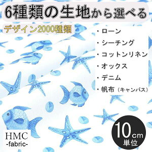 y10cmP:z n z I[_[vgz ( V[`O or IbNX ) / fab-cm00211