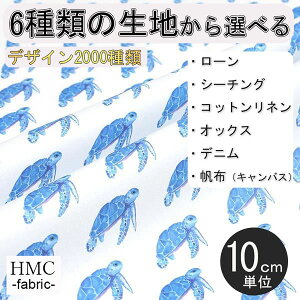 y10cmP:z n z I[_[vgz ( V[`O or IbNX ) / fab-cm00213