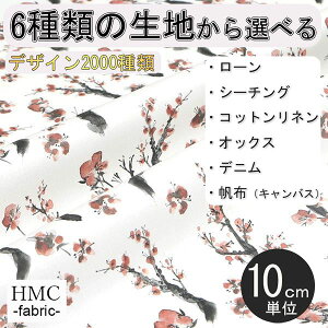 y10cmP:z n z I[_[vgz ( V[`O or IbNX ) / fab-cm00236