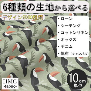 y10cmP:z n z I[_[vgz ( V[`O or IbNX ) / fab-cm00259