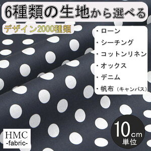 y10cmP:z n z I[_[vgz ( V[`O or IbNX ) / fab-cm00279