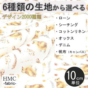 y10cmP:z n z I[_[vgz ( V[`O or IbNX ) / fab-cm00347