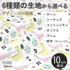 y10cmP:z n z I[_[vgz ( V[`O or IbNX ) / fab-cm00385