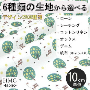 y10cmP:z n z I[_[vgz ( V[`O or IbNX ) / fab-cm00390