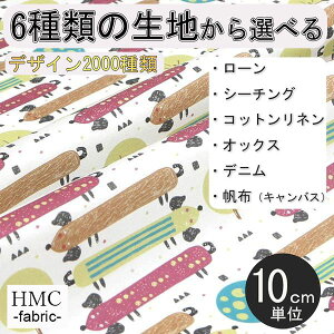 y10cmP:z n z I[_[vgz ( V[`O or IbNX ) / fab-cm00391