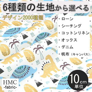 y10cmP:z n z I[_[vgz ( V[`O or IbNX ) / fab-cm00401