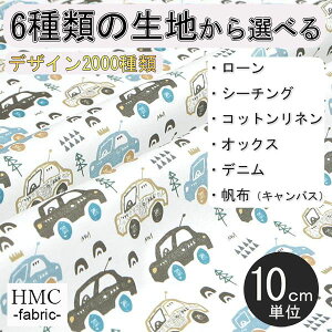 y10cmP:z n z I[_[vgz ( V[`O or IbNX ) / fab-cm00422