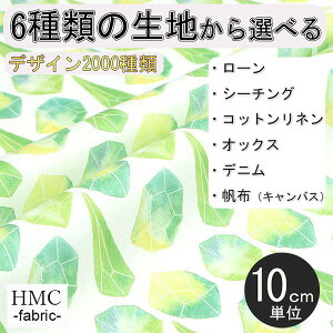 y10cmP:z n z I[_[vgz ( V[`O or IbNX ) / fab-cm00426