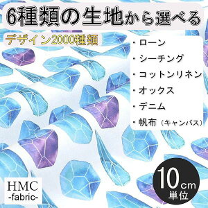 【10cm単位:送料無料】 生地 布 オーダープリント布 ( シーチング or オックス ) / fab-cm00427