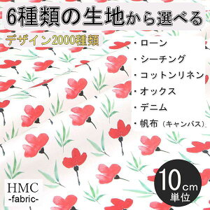 y10cmP:z n z I[_[vgz ( V[`O or IbNX ) / fab-cm00429