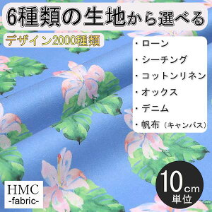 y10cmP:z n z I[_[vgz ( V[`O or IbNX ) / fab-cm00439