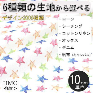 y10cmP:z n z I[_[vgz ( V[`O or IbNX ) / fab-cm00445