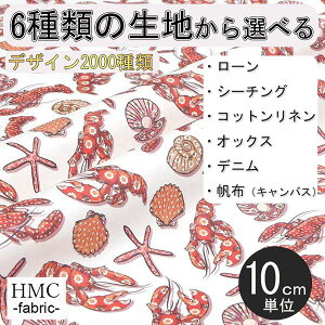 y10cmP:z n z I[_[vgz ( V[`O or IbNX ) / fab-cm00465