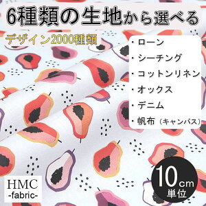 y10cmP:z n z I[_[vgz ( V[`O or IbNX ) / fab-cm00474