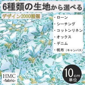 y10cmP:z n z I[_[vgz ( V[`O or IbNX ) / fab-cm00480