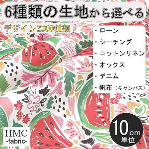 y10cmP:z n z I[_[vgz ( V[`O or IbNX ) / fab-cm00482