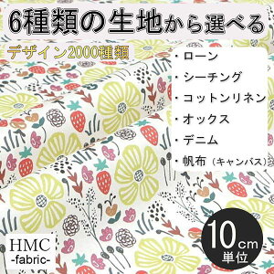 y10cmP:z n z I[_[vgz ( V[`O or IbNX ) / fab-cm00563