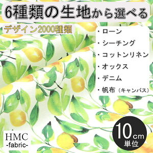 【10cm単位:送料無料】 生地 布 オーダープリント布 ( シーチング or オックス ) / fab-cm00577