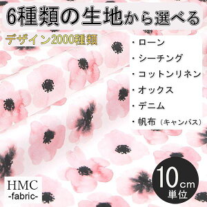 y10cmP:z n z I[_[vgz ( V[`O or IbNX ) / fab-cm00580