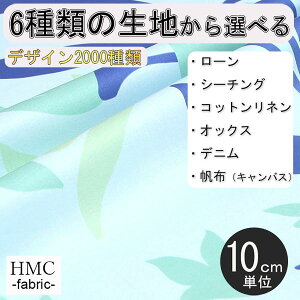 y10cmP:z n z I[_[vgz ( V[`O or IbNX ) / fab-cm00604