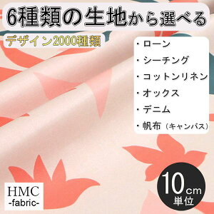 y10cmP:z n z I[_[vgz ( V[`O or IbNX ) / fab-cm00606