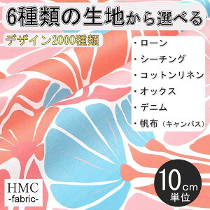 y10cmP:z n z I[_[vgz ( V[`O or IbNX ) / fab-cm00607