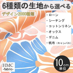 y10cmP:z n z I[_[vgz ( V[`O or IbNX ) / fab-cm00609