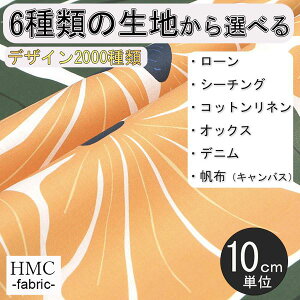 y10cmP:z n z I[_[vgz ( V[`O or IbNX ) / fab-cm00631