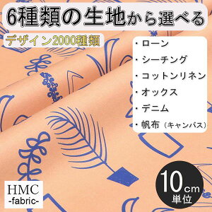 y10cmP:z n z I[_[vgz ( V[`O or IbNX ) / fab-cm00636