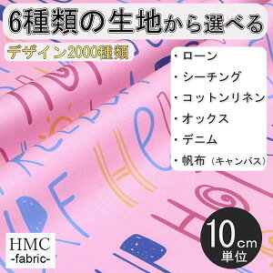 y10cmP:z n z I[_[vgz ( V[`O or IbNX ) / fab-cm00646