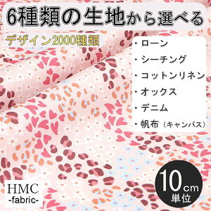 y10cmP:z n z I[_[vgz ( V[`O or IbNX ) / fab-cm00661