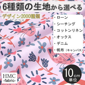 y10cmP:z n z I[_[vgz ( V[`O or IbNX ) / fab-cm00668