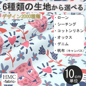 y10cmP:z n z I[_[vgz ( V[`O or IbNX ) / fab-cm00669