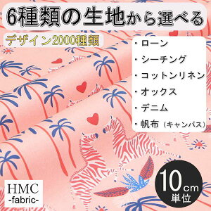 y10cmP:z n z I[_[vgz ( V[`O or IbNX ) / fab-cm00675