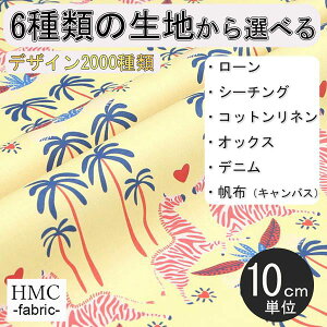 y10cmP:z n z I[_[vgz ( V[`O or IbNX ) / fab-cm00676