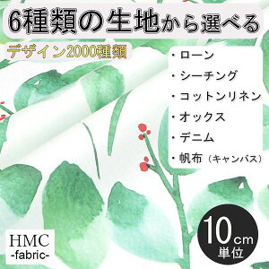 y10cmP:z n z I[_[vgz ( V[`O or IbNX ) / fab-cm00679