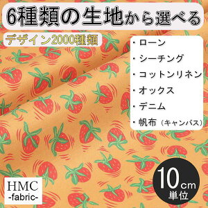 y10cmP:z n z I[_[vgz ( V[`O or IbNX ) / fab-cm00689