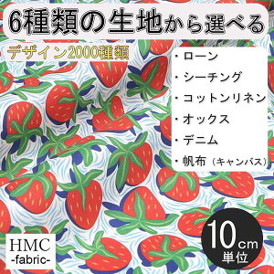 y10cmP:z n z I[_[vgz ( V[`O or IbNX ) / fab-cm00690