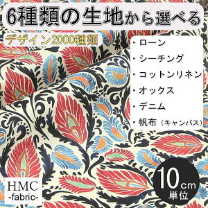 y10cmP:z n z I[_[vgz ( V[`O or IbNX ) / fab-cm00697