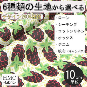 y10cmP:z n z I[_[vgz ( V[`O or IbNX ) / fab-cm00703