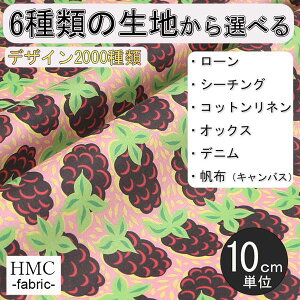 y10cmP:z n z I[_[vgz ( V[`O or IbNX ) / fab-cm00704