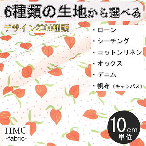 y10cmP:z n z I[_[vgz ( V[`O or IbNX ) / fab-cm00713